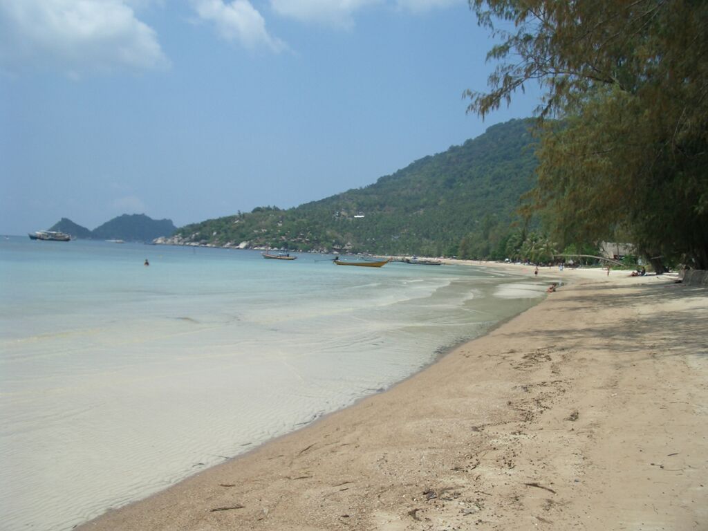 Click to See Next Image